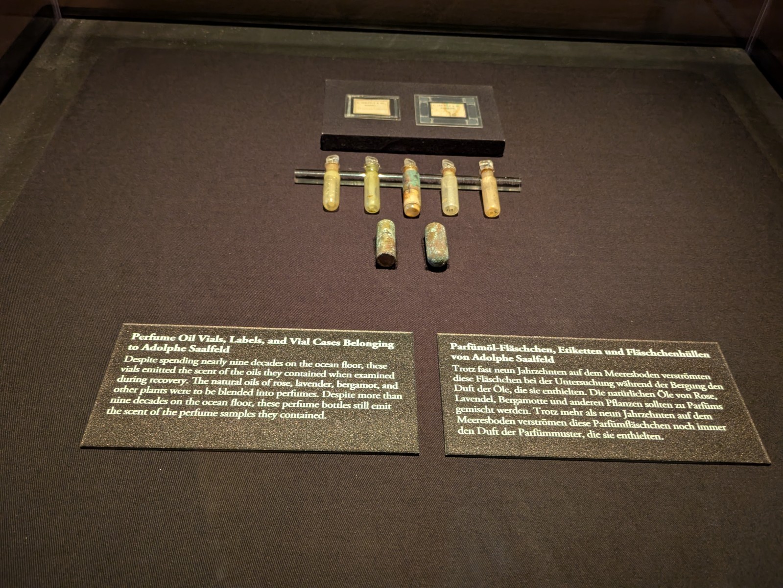 PXL 20241217 121327848.NIGHT